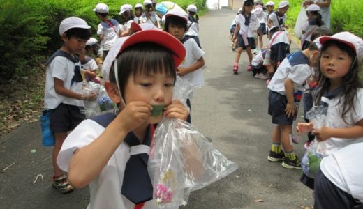 年長児さん、園外保育に出かけました！